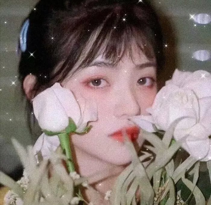 血的契约